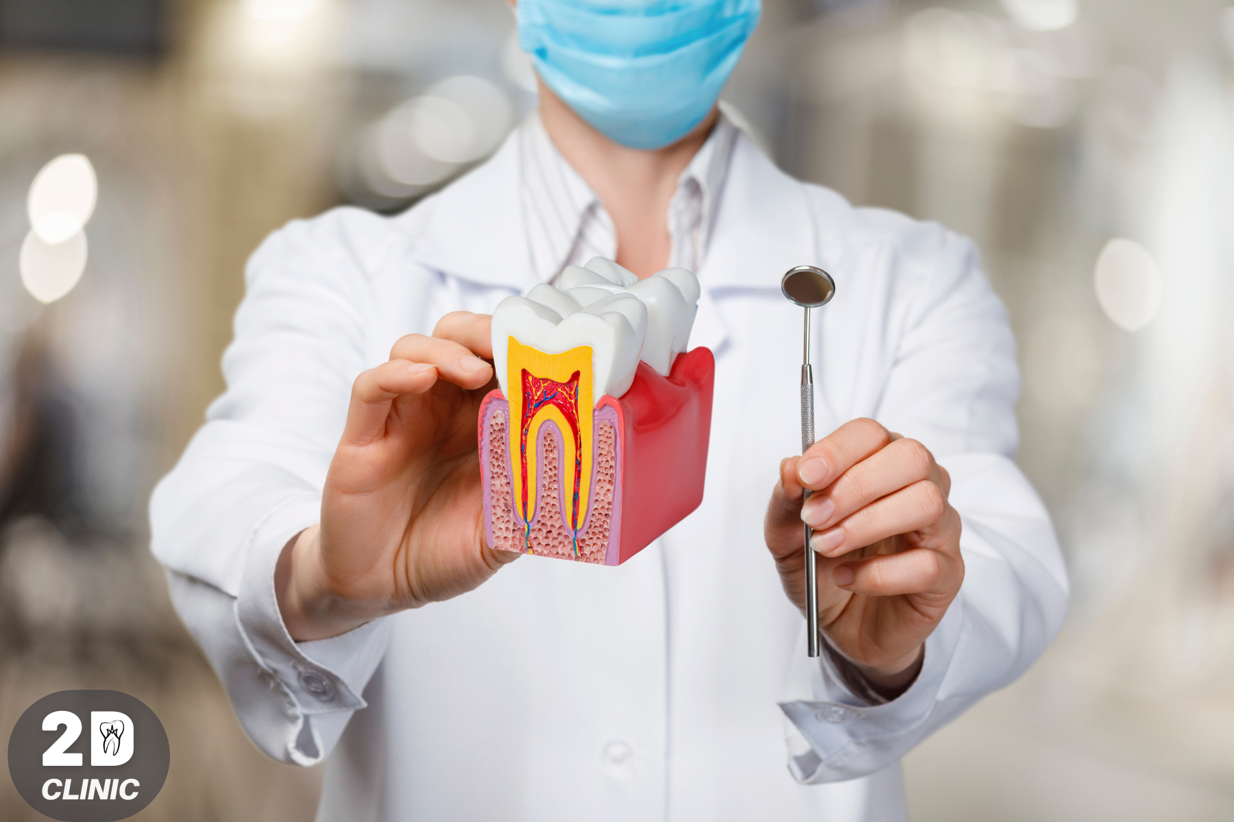 kanal-tedavisi--endodonti.png